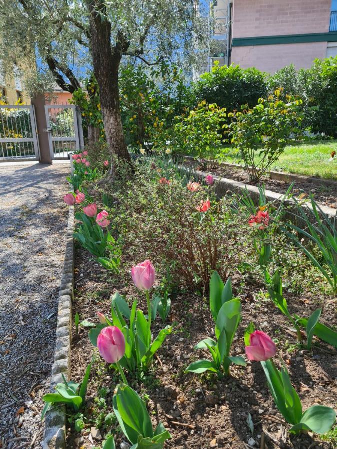 Апартаменти Le Peonie Рива-дель-Гарда Екстер'єр фото